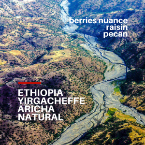 에티오피아 커피